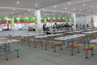 廣州市翡翠教育信息咨詢 專業(yè)引領，點亮羊城學子求學路